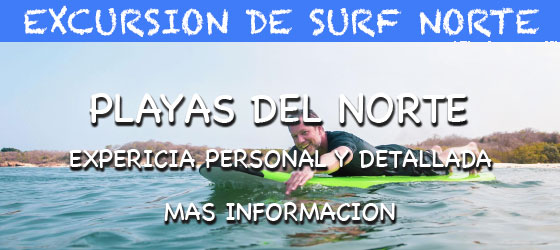 Excursione de Surf en las Playas del Norte de Puerto Vallarta