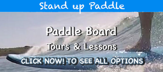 Surf Tours Puerto Vallarta | Stand Up Paddle Excursions Puerto Vallarta | Stand Up Paddle Adventures Puerto Vallarta