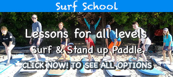 Puerto Vallarta Surf School | Surf Lessons Puero Vallarta | Stand up Paddle Lessons Puerto Vallarta