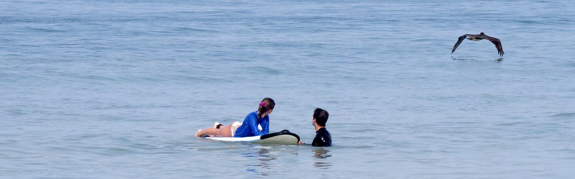 Patrocinadores Socios y Amigos del Quipo de Vallarta Surf Tours