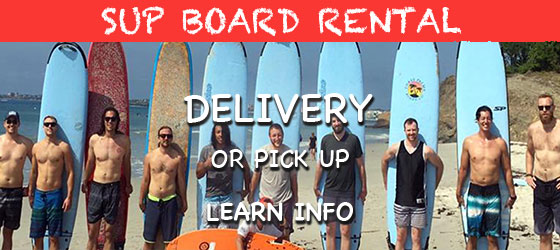 Stand UP Paddle Board Rentals